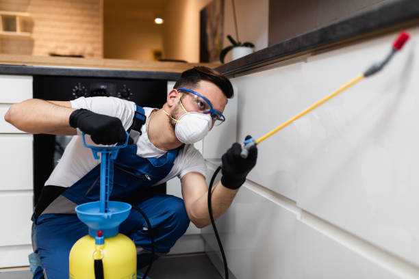 Wasp Removal Services in Sandusky, OH