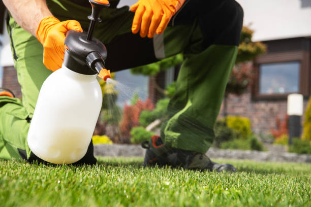 Best Pest Control for Homes  in Sandusky, OH