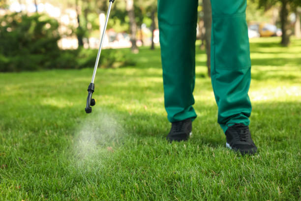 Best Affordable Pest Control Services  in Sandusky, OH