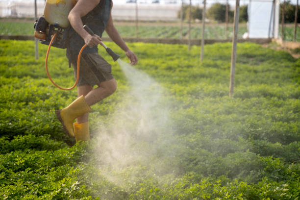 Best Best Pest Control Companies  in Sandusky, OH