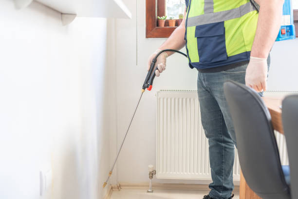 Reliable Sandusky, OH Pest Control Solutions