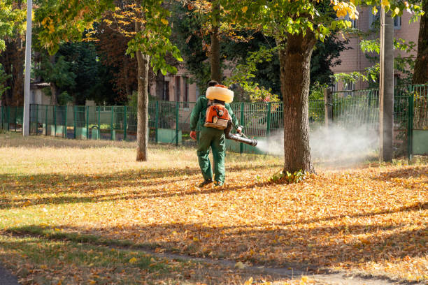 Pest Prevention Services in Sandusky, OH