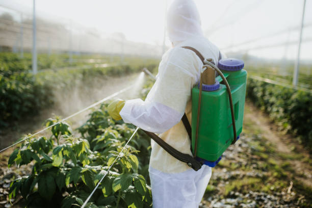 Flea Control Services in Sandusky, OH